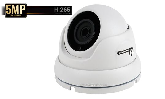 IP камера Starvis imx335 Cupol