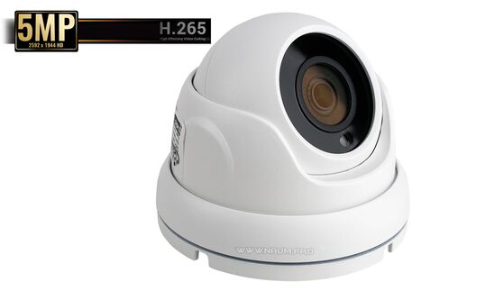 IP камера Starvis imx335 Cupol