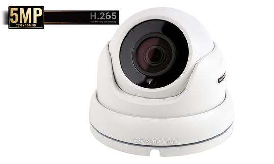 IP камера Starvis imx335 Cupol