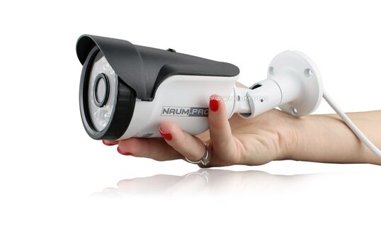 IP камера Exmor IMX 291