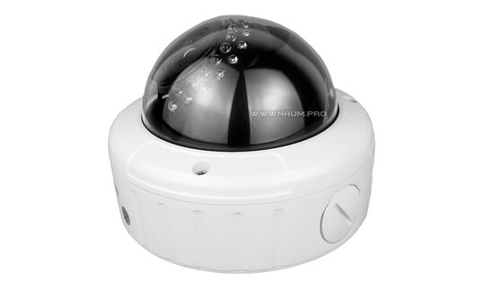 Антивандальна IP камера Hammer R52
