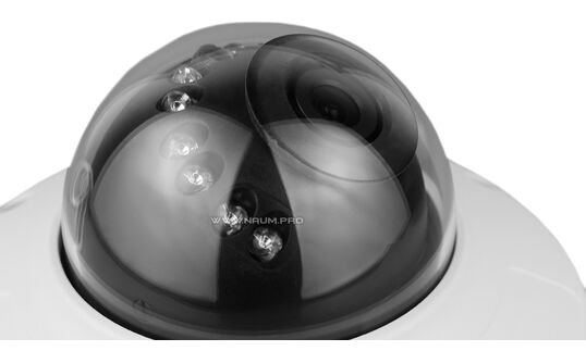 Антивандальная IP камера Hammer R50