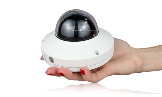 Антивандальная IP камера Hammer R50