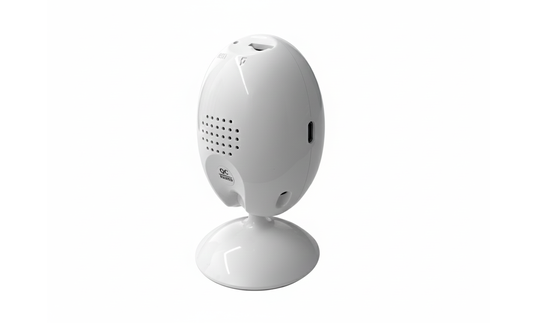 WIFI камера rv-10ai200