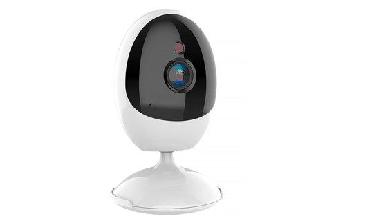 Купить WIFI камера rv-10ai200 в Киеве, фото №2