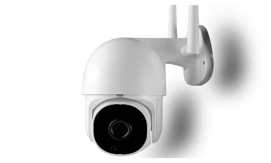 Поворотная WIFI камера rv-mnqnip300