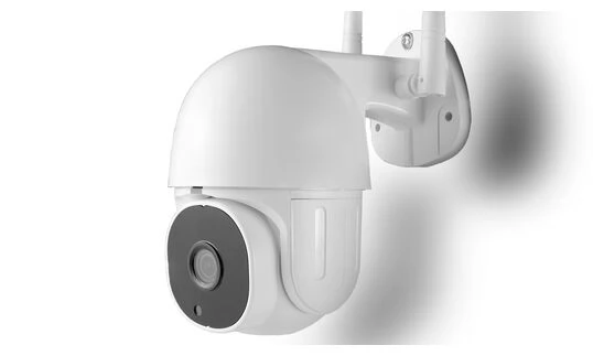 Купить Поворотная WIFI камера rv-mnqnip500 разрешение 5 мегапикселей  в Киеве, фото №2