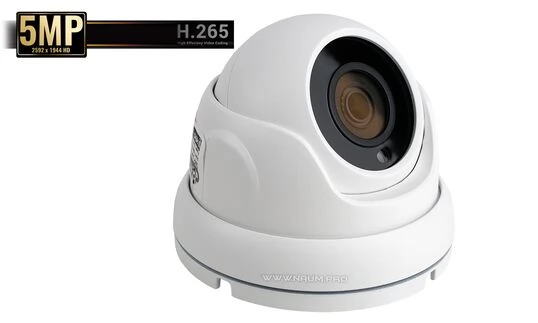 IP камера Starvis imx335 Cupol-K
