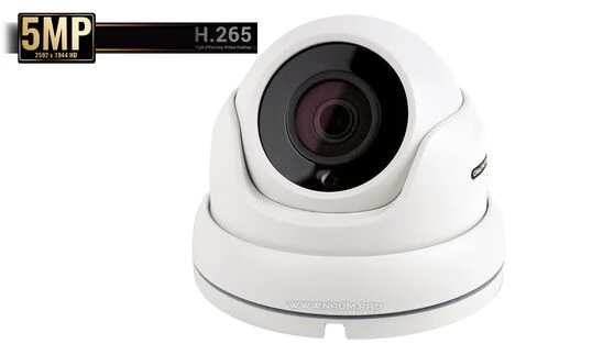 IP камера Starvis imx335 Cupol-K
