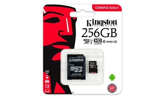 Купить Карта памяти Kingston microSD 256GB  в Киеве, фото №2