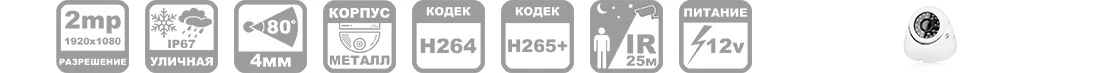 камера купольная металлическая