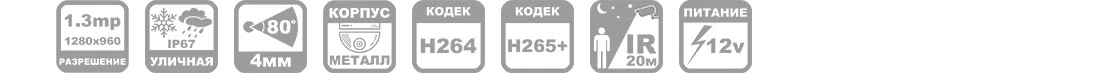 Металлическая IP камера 1.3