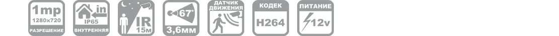 Купольная IP камера видеонаблюдения