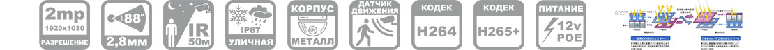 купольная ip камера с пое